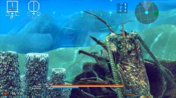 ꡼ No.004Υͥ / ȳɥ󥷥塼ƥ󥰡ACE OF SEAFOODס1130ۿ