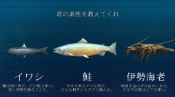 ꡼ No.016Υͥ / ȳɥ󥷥塼ƥ󥰡ACE OF SEAFOODס1130ۿ