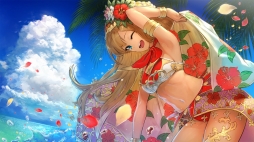 ���������꡼ No.015�Υ���ͥ������ / Nintendo Switch�����ѥ��륲�������Ѽ��: ���ֿ��פ��ۿ����ϡ�PV�����