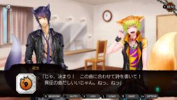 ꡼ No.011 | ADVŤʡפNintendo Switchۿ