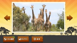 ꡼ No.001 | Nintendo SwitchDLեȡ֤ѥ ưʪפۿ