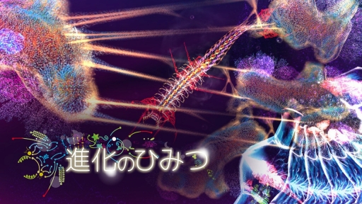 ꡼ No.052Υͥ / 2018-2019ǯǯǯϤ˥Nintendo Switchѥɥեȡ֤ߤʤǡס1ͤǡס֤꺢ʡפΥ̤ǥҲ