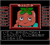 ꡼ No.003Υͥ / 奦ΤγƤӡ̾ADV֥ιΥȥޥɱפ˥ƥɡ3DSΥС륳󥽡о