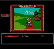 ꡼ No.004Υͥ / 奦ΤγƤӡ̾ADV֥ιΥȥޥɱפ˥ƥɡ3DSΥС륳󥽡о