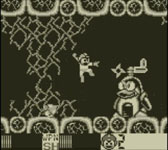 ꡼ No.008Υͥ / ֥åޥ3פ3DSС륳󥽡о졣ۿ