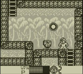 ꡼ No.010Υͥ / ֥åޥ3פ3DSС륳󥽡о졣ۿ