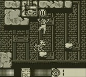 ꡼ No.013 | ֥åޥ4פ3DSС륳󥽡ۿ