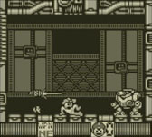 ꡼ No.010 | ֥åޥ5פ3DSС륳󥽡о