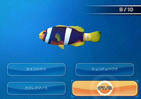 ꡼ No.020Υͥ / ֥եߥ꡼եå󥰡׺ǿ󡣥θǤ륢ƥӥƥ䡤꡼뷿ȥ֤פˡʤɤξ󤬸