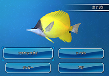 ꡼ No.031 | Wiiѡ֥եߥ꡼եå󥰡פȯ䡣󥭥󥰵ǽʤɤΥ饤ǤӡȤξ