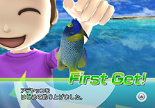 ꡼ No.037 | Wiiѡ֥եߥ꡼եå󥰡פȯ䡣󥭥󥰵ǽʤɤΥ饤ǤӡȤξ