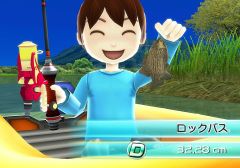 ꡼ No.003Υͥ / ֥եߥ꡼եå󥰡2ή91200ˡ֥åХ