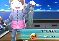 ꡼ No.006 | ֥եߥ꡼եå󥰡ס119ϥȥڥʥ󥫥ѥΤή