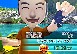 ꡼ No.003 | ֥եߥ꡼եå󥰡ס28ˡ֥ߥĥܥפήͽ