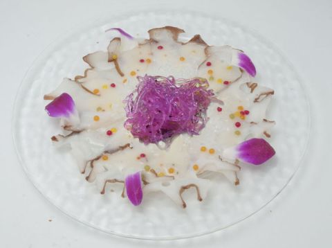 ���������꡼ No.014�Υ���ͥ������ / �����BASARA3 ��״�����Ϫ���ȯɽ���줿�������å״���ޤȤ�Ƹ���