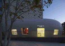 ꡼ No.002Υͥ / ˥åΥե륷å׸̲426ȯ