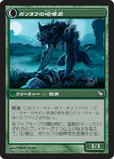 ꡼ No.045 | ֥ޥå㥶󥰡סե󥷥ǳ줿긢ͤݡȡܿͤȸĿ2βã