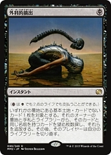 ꡼ No.033 | 祫ɤȤ֥ޥå㥶󥰡פȤϡ˥˥Ķ2017ǤΥޥå֡ʤҲ