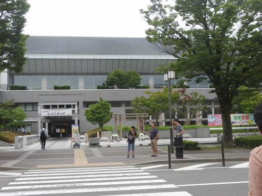 ���������꡼ No.001�Υ���ͥ������ / �֥ޥ��å����������㥶��󥰡פΥ桼������Х����������Ф줿����������ˤ��ץ��ĥ��������Ǥι�׸��إ�ݡ���