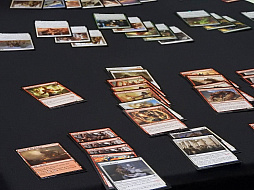 ���������꡼ No.016�Υ���ͥ������ / �֥ޥ��å����������㥶��󥰡פΥ桼������Х����������Ф줿����������ˤ��ץ��ĥ��������Ǥι�׸��إ�ݡ���