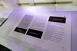 ꡼ No.054 | η쥢ɡȥեǥѥ9"μʪŸ⡣֥ޥå㥶Ÿץݡ