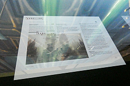 ꡼ No.056 | η쥢ɡȥեǥѥ9"μʪŸ⡣֥ޥå㥶Ÿץݡ