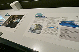 ꡼ No.059 | η쥢ɡȥեǥѥ9"μʪŸ⡣֥ޥå㥶Ÿץݡ