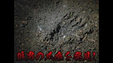 ꡼ No.003 | ֥ޥå㥶󥰡פκǿĥѥåȥ˥ȥ顼ɡμɤ꡼CM