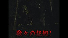 ꡼ No.005 | ֥ޥå㥶󥰡פκǿĥѥåȥ˥ȥ顼ɡμɤ꡼CM