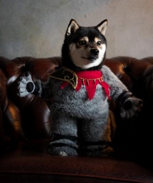 ꡼ No.017 | ֥ޥå㥶󥰡פκǿĥѥåȥ˥ȥ顼ɡμɤ꡼CM