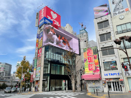 ꡼ No.001 | ֥ޥå㥶󥰡סåȡȷɡ1118ȯˤ3D򥯥ɥӥǳϡܥեξ