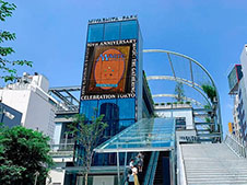 ���������꡼ No.013�Υ���ͥ������ / ��MTG�ס������ȥǥ��쥯�����ο����λʻ᤬�꤬��������߷��פ�ʣ�������ɥ����Ȥ�������Ÿ����9��˳��Ť��뵭ǰ���٥�Ⱦ��󤬸�����