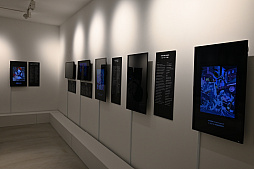 ���������꡼ No.011�Υ���ͥ������ / ŷ����丶ů�׻�Υ����ɥ�����Ÿ���⡣�֥ޥ��å����������㥶��󥰡�30��ǯ��ǰ���٥�Ȥ���ë��RAYARD MIYASHITA PARK�ǳ�����