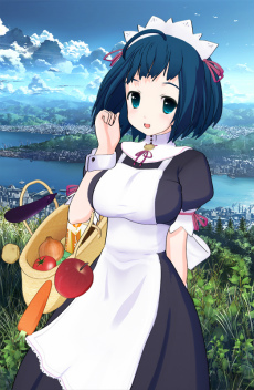 ꡼ No.023Υͥ / ɥ٥㡼֥꡼ספ3DΩλбPlayStation 3о졣110θǤۿ