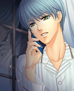 ꡼ No.009Υͥ / 100ͤζ⿧ΥפĤ˥ӥϡưҲ