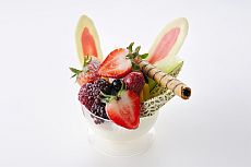 ꡼ No.012 | ֥ɥáɥޥ餱Υʥॳպס in ʥॳʥ󥸥㥿פо줹֥ꥸʥǥȡաɡ16β餫