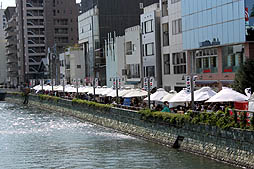 ꡼ No.004Υͥ / äѤꥢɥޥޥӤǳŤ줿֥ɥޥ״Ϣ٥Ȥ򡤤ޤȤƥݡ