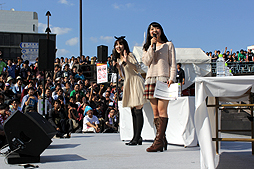 ꡼ No.012Υͥ / äѤꥢɥޥޥӤǳŤ줿֥ɥޥ״Ϣ٥Ȥ򡤤ޤȤƥݡ