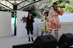 ꡼ No.052Υͥ / äѤꥢɥޥޥӤǳŤ줿֥ɥޥ״Ϣ٥Ȥ򡤤ޤȤƥݡ