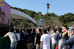 ꡼ No.066Υͥ / äѤꥢɥޥޥӤǳŤ줿֥ɥޥ״Ϣ٥Ȥ򡤤ޤȤƥݡ