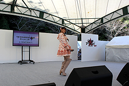 ꡼ No.068Υͥ / äѤꥢɥޥޥӤǳŤ줿֥ɥޥ״Ϣ٥Ȥ򡤤ޤȤƥݡ