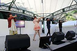 ꡼ No.076Υͥ / äѤꥢɥޥޥӤǳŤ줿֥ɥޥ״Ϣ٥Ȥ򡤤ޤȤƥݡ