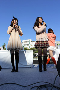 ꡼ No.082Υͥ / äѤꥢɥޥޥӤǳŤ줿֥ɥޥ״Ϣ٥Ȥ򡤤ޤȤƥݡ