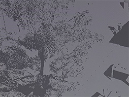 ꡼ No.027 | GDC 2024Arm侩쥤ȥ졼󥰻Υޡȥե󥲡॰եåȤϡ