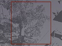 ꡼ No.028 | GDC 2024Arm侩쥤ȥ졼󥰻Υޡȥե󥲡॰եåȤϡ