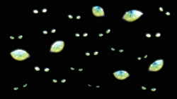 ꡼ No.007Υͥ / ֤ߤͤΤʤ˻ ¤ȸۤ۶ʡסEP58ƤޤȤ᤿ǿࡼӡȯ褬ƿХȥαФǧƤߤ褦