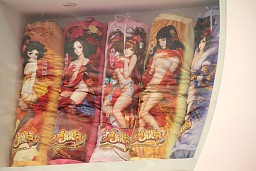 ꡼ No.258 | CJ 2011ϤԤ͡ChinaJoy줫鸷·ƥѥ˥̿Ǻ