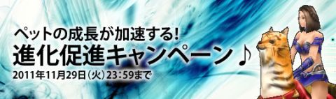 ���������꡼ No.002�Υ���ͥ������ / ��TENKI�ס��ڥåȤ���Ĺ��¥�ʤ����륢���ƥब��館�륭���ڡ��󳫺�