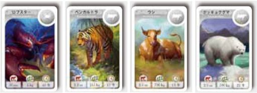 画像ギャラリー No.001のサムネイル画像 / 動物雑学カードゲーム「カードライン：動物編」の日本語版が11月下旬に発売