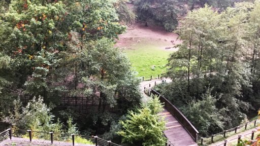 ꡼ No.003Υͥ / SPIEL16Ϥ褤賫뤹륢ʥκŵSPIEL'16סɥġåθϤǿΥܥɥϤ